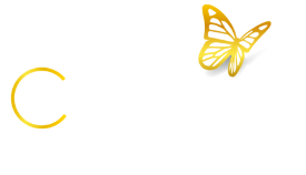 myFreeStyle